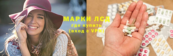 крисы Коряжма