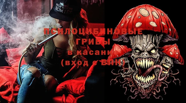 крисы Коряжма