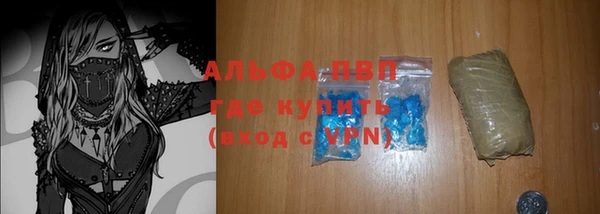 крисы Коряжма