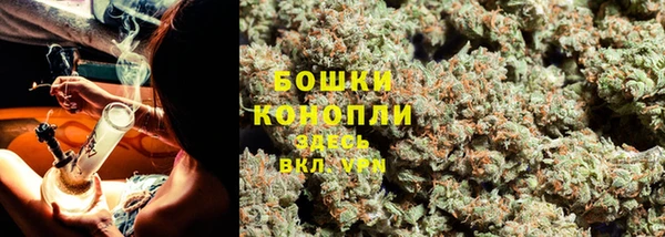 соль ск Козловка