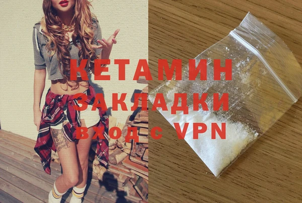 крисы Коряжма