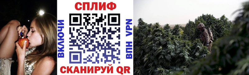 Купить где  Кохма  Бошки марихуана White Widow 